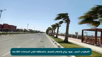 اضطراب البحر.. ورود رياح وأمطار تعصف بالمنطقة خلال الساعات القادمة